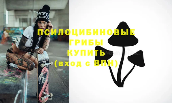 гашик Абинск