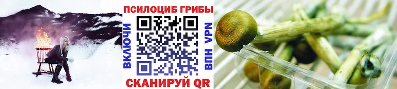 Галлюциногенные грибы GOLDEN TEACHER Абаза